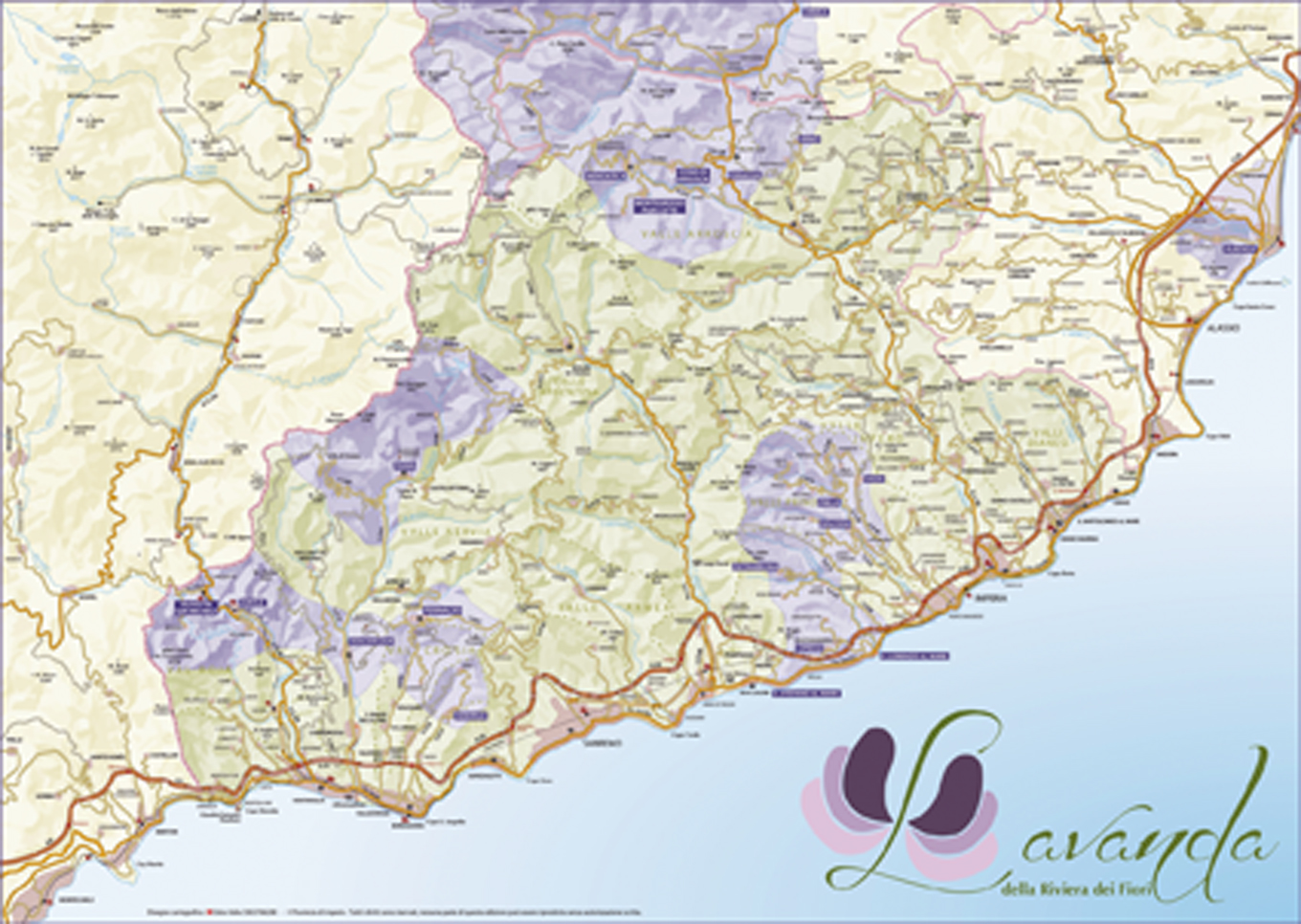 cartina lavanda ultima