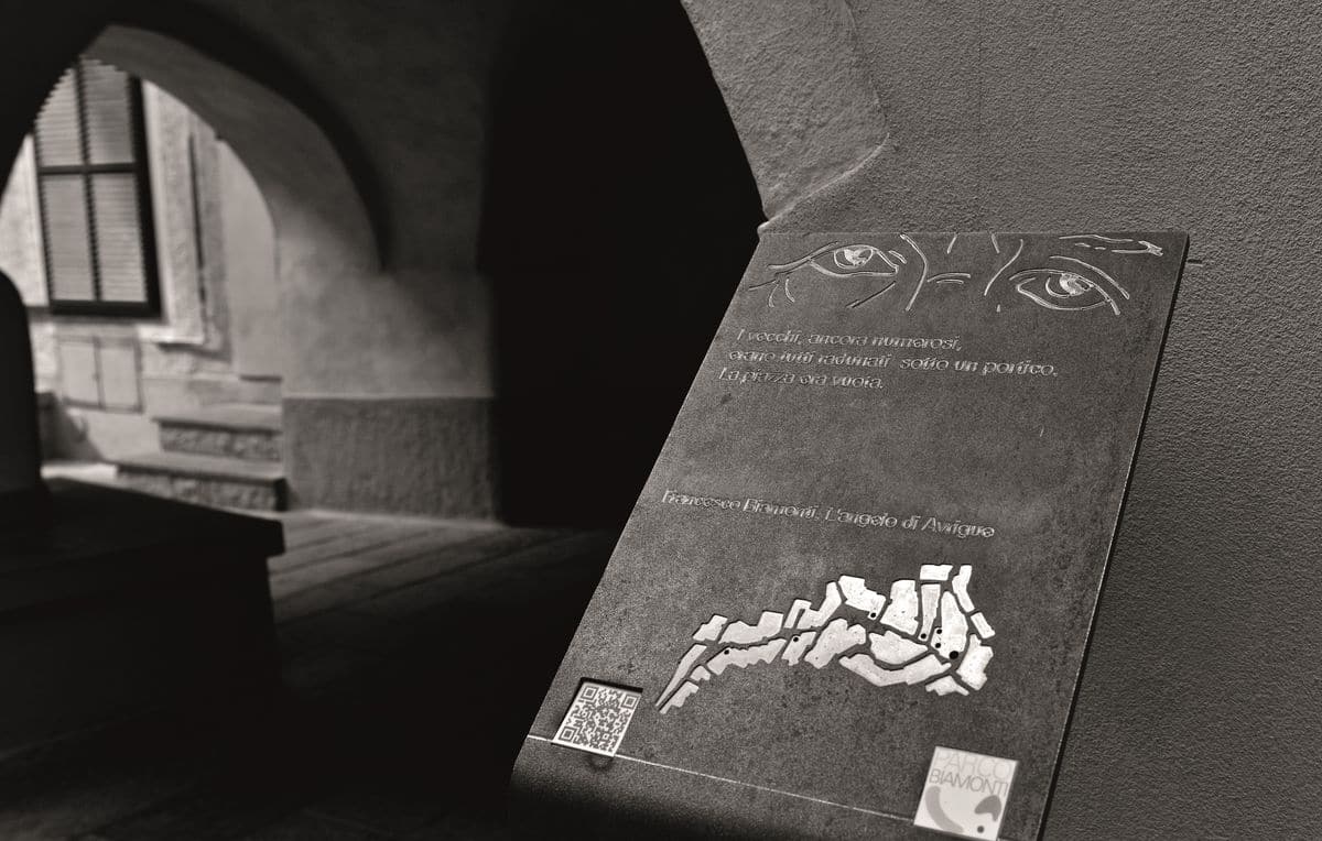 Parco Biamonti BIG_risultato