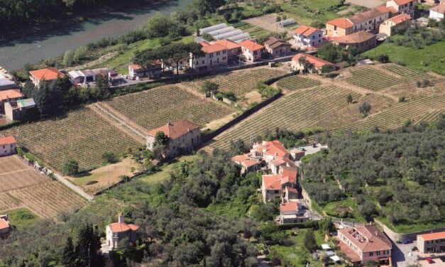 Il Pigato: un vitigno varietale che vuol dire Liguria occidentale