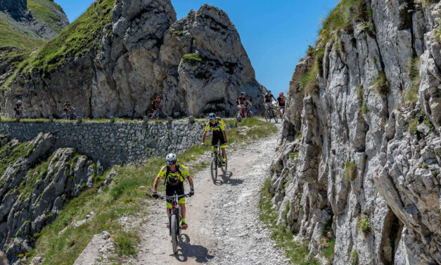 Transalp Experience 2023